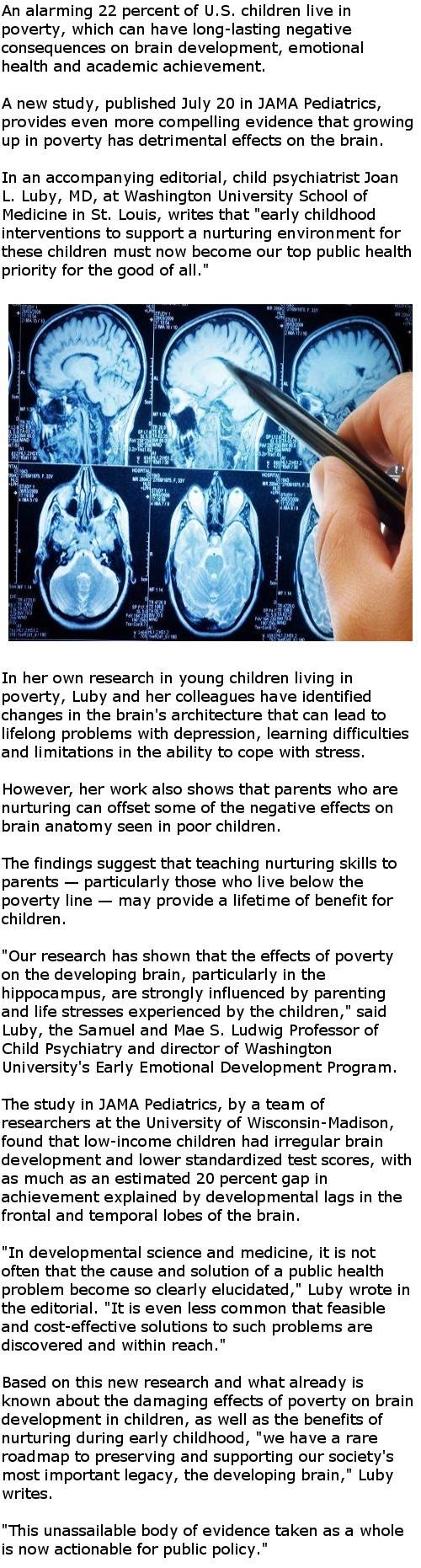 Poverty has detrimental effects on child's brain development